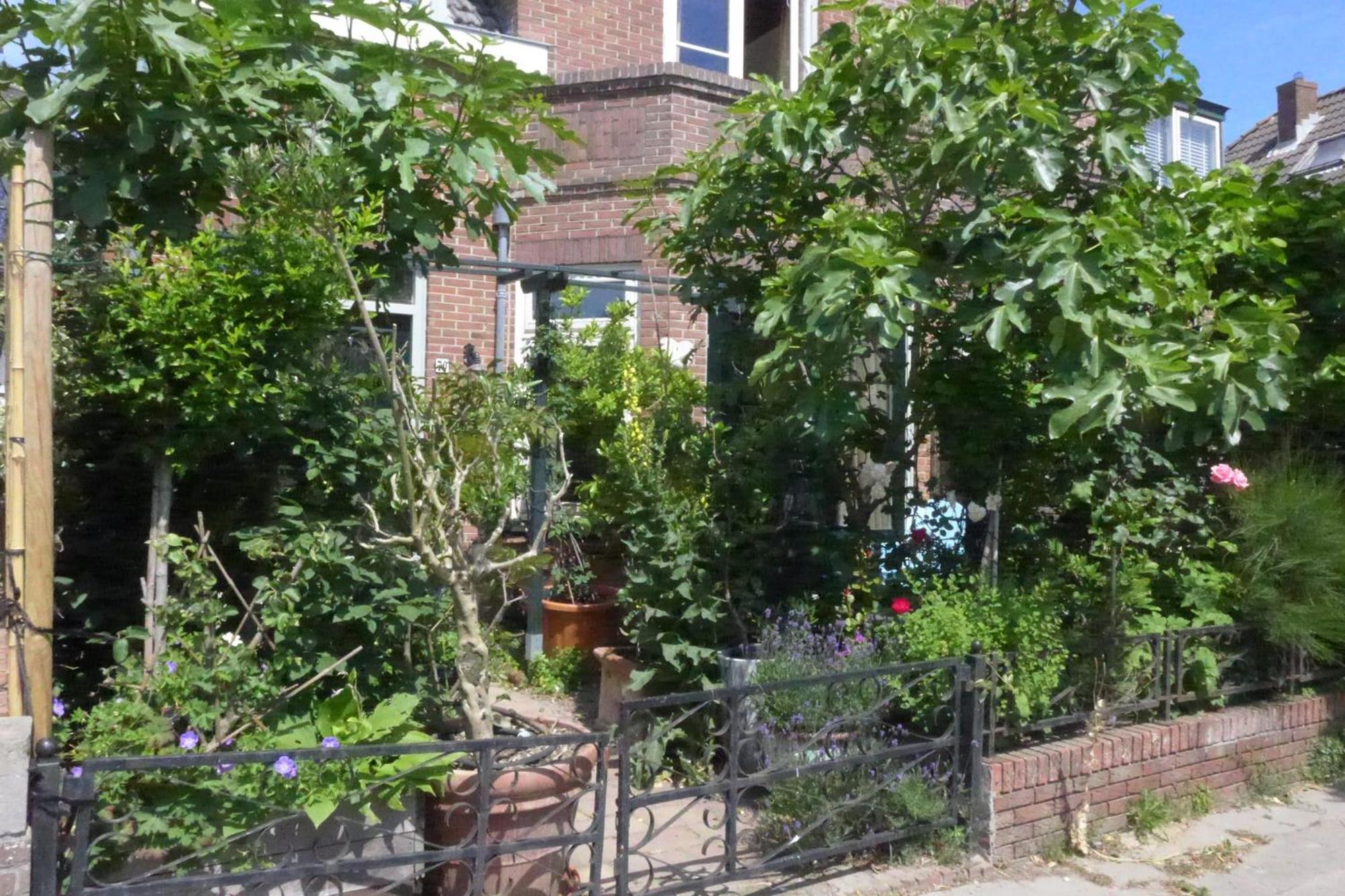 Family Home Marie Zandvoort Εξωτερικό φωτογραφία