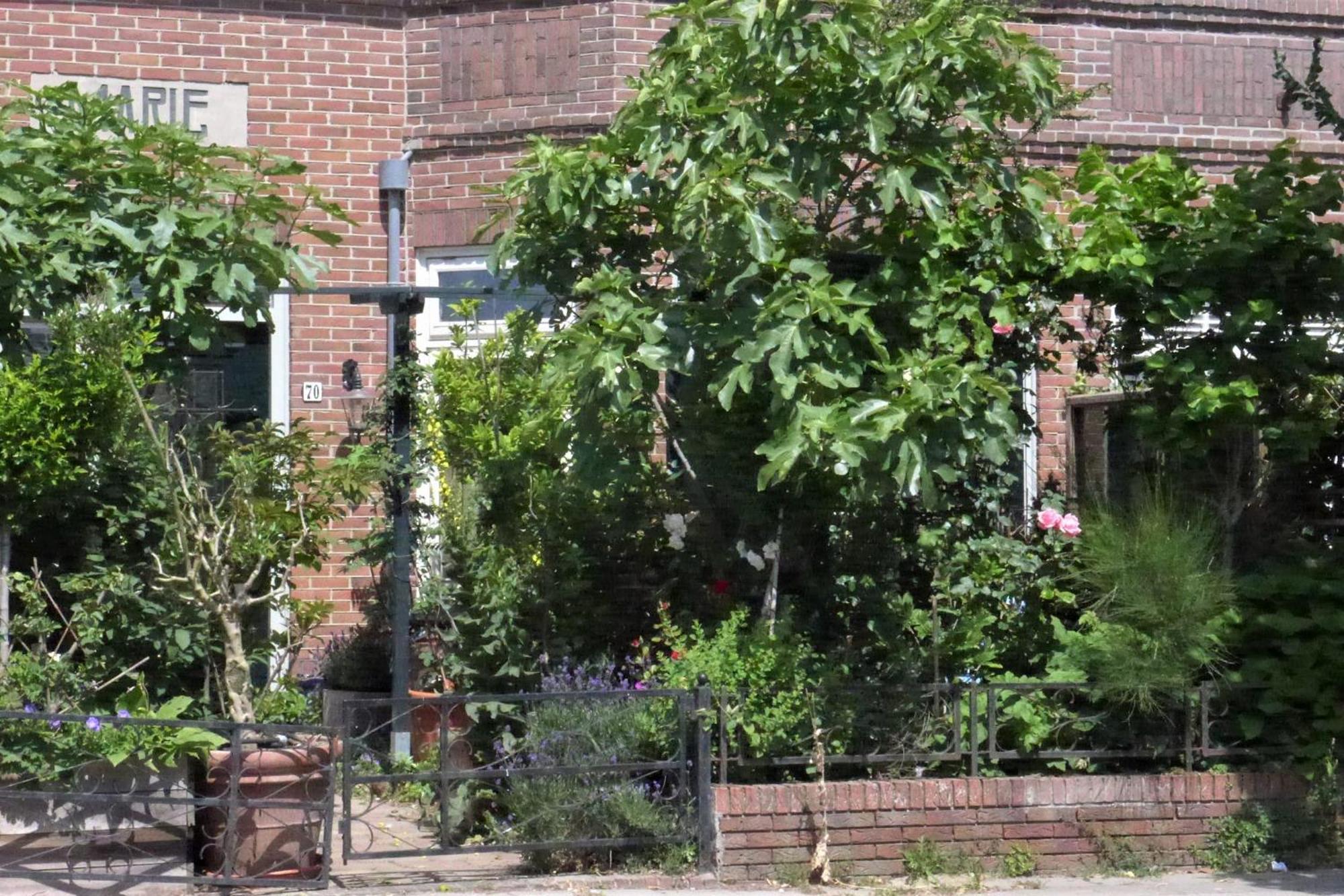 Family Home Marie Zandvoort Εξωτερικό φωτογραφία
