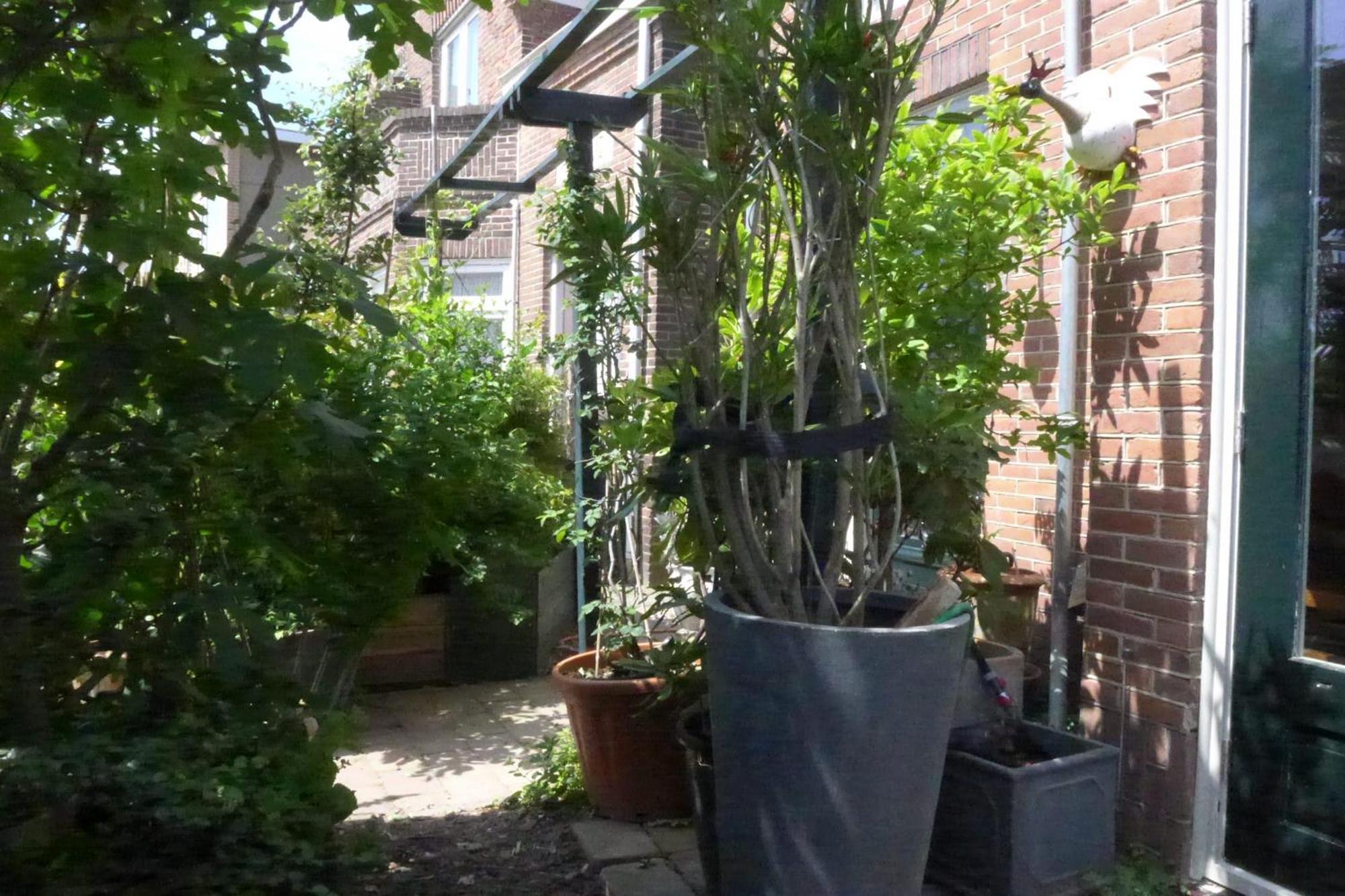 Family Home Marie Zandvoort Εξωτερικό φωτογραφία
