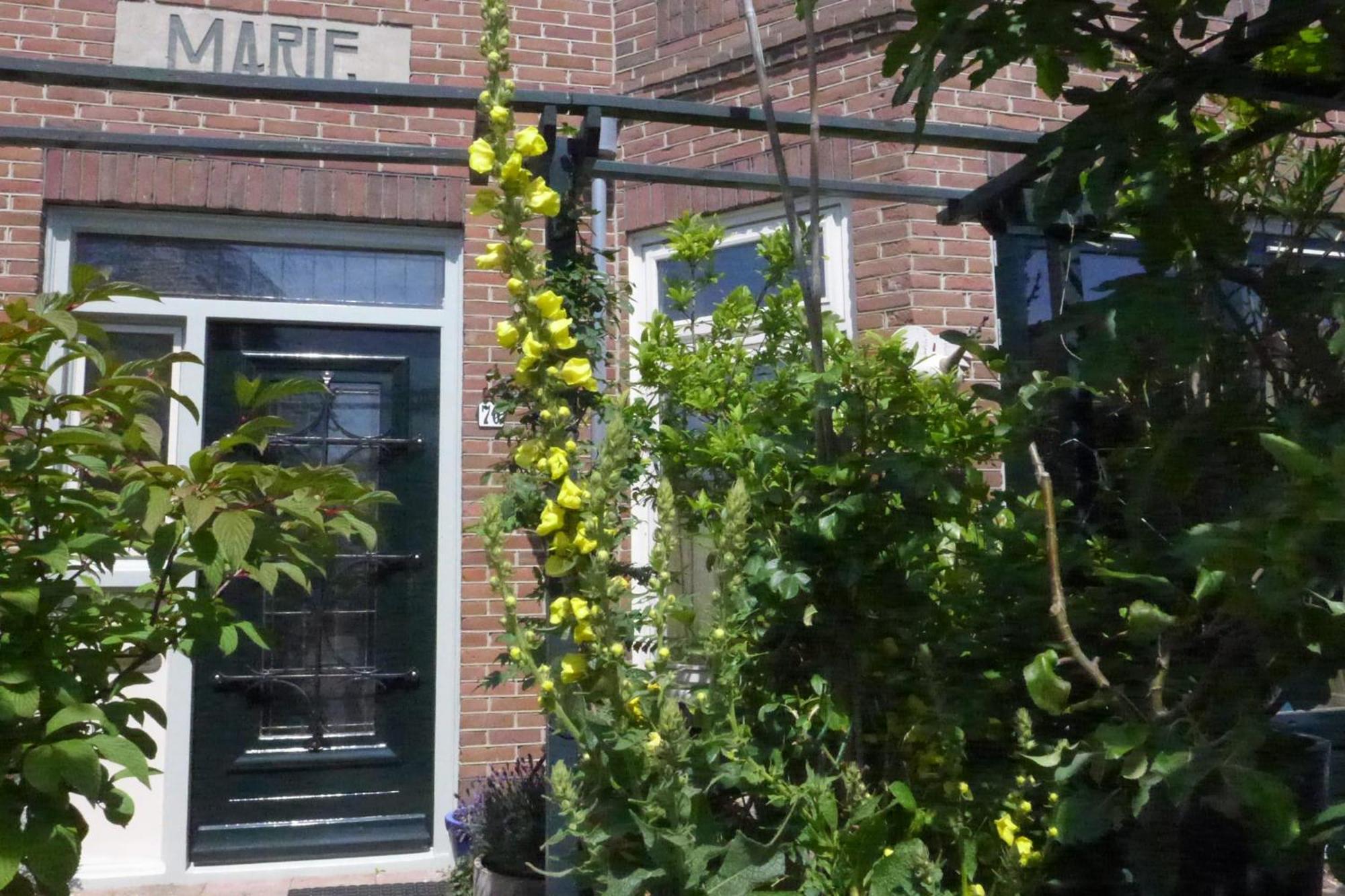 Family Home Marie Zandvoort Εξωτερικό φωτογραφία